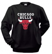 Реглан Chicago Bulls